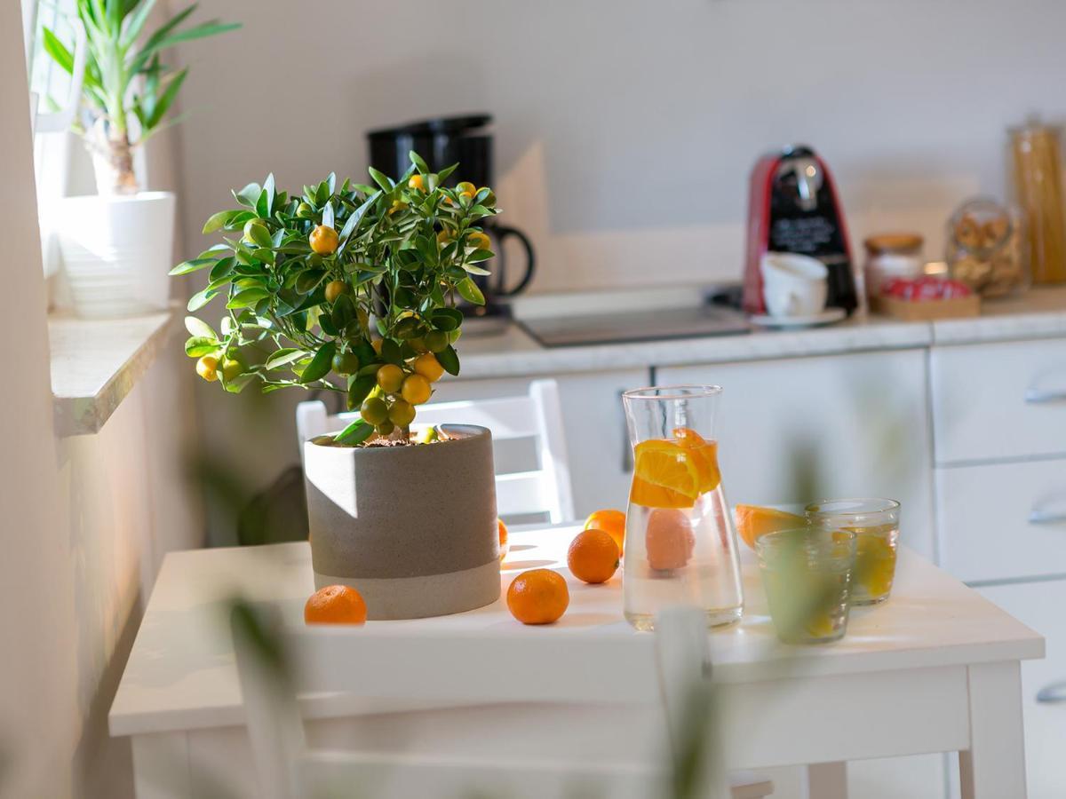 Dream Istria Holiday Porec Ngoại thất bức ảnh